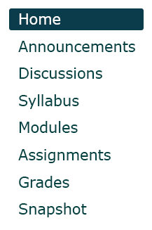 Canvas site menu: Home, Announcements, Discussions, Syllabus, Modules, Assignments, Grades, Snapshot