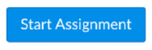 Blue button with Start Assignment text