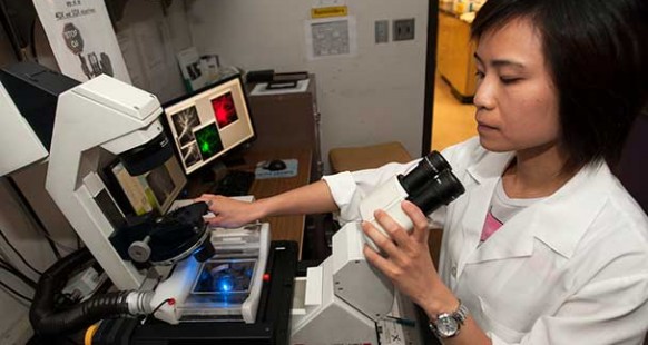 researcher with a microscope and computer