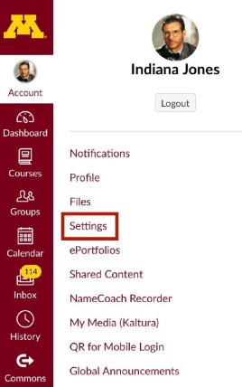 A graphic showing the Settings button in Canvas.