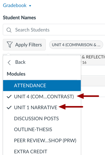 Canvas Gradebook with a filter selection window open and a list of modules that can be used as filters; two modules are selected to be filtered by